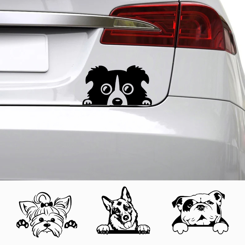 Apple Accessories Laptop - Autos Zubehör Aufkleber Lustiger Hund mit